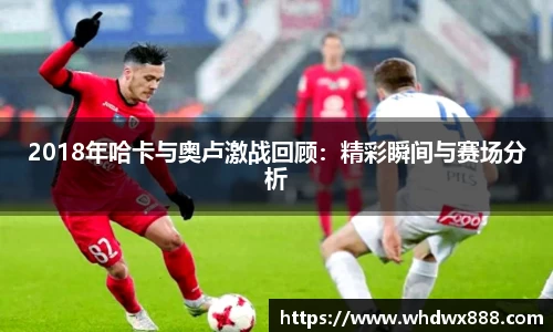 2018年哈卡与奥卢激战回顾：精彩瞬间与赛场分析